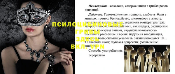 кокс Вяземский
