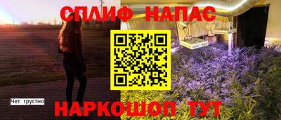мет Гатчина