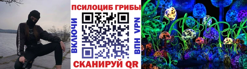 Псилоцибиновые грибы Psilocybine cubensis  Железногорск 