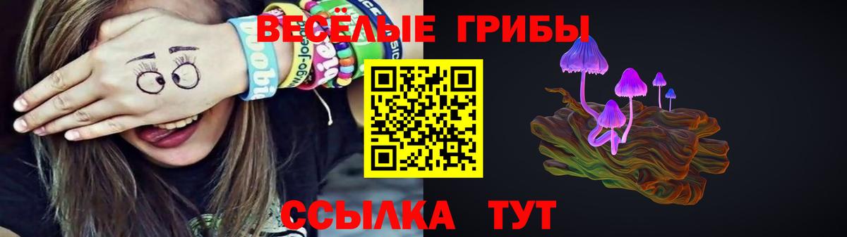 Псилоцибиновые грибы Magic Shrooms  Вход с VPN  Железногорск  где купить наркоту  Псилоцибиновые грибы ЛСД 